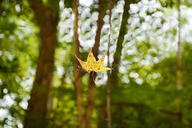 La cremazione è una scelta consapevole, rispettosa e serena. Un modo per lasciare un’impronta leggera sul mondo e mantenere vive le proprie volontà.